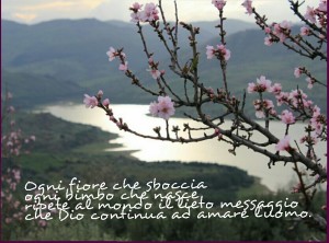 Ogni fiore che sboccia ogni bimbo che nasce  ripete al mondo il lieto messaggio che Dio continua ad amare l'uomo