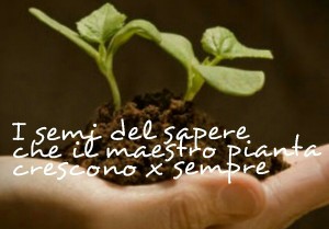 I semi del sapere che il maestro pianta crescono x sempre